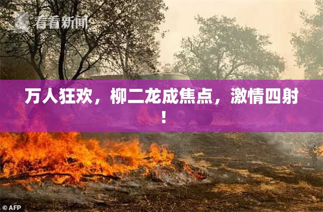 万人狂欢，柳二龙成焦点，激情四射！