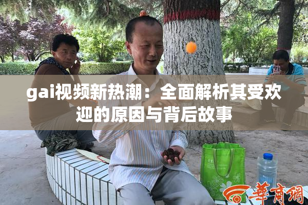 gai视频新热潮：全面解析其受欢迎的原因与背后故事
