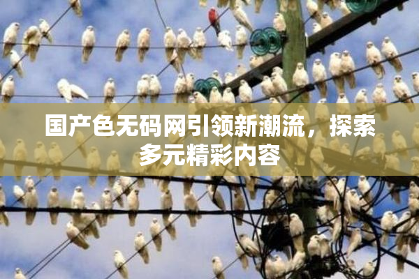 国产色无码网引领新潮流，探索多元精彩内容
