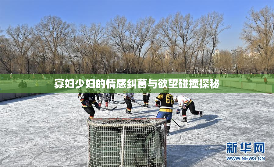 寡妇少妇的情感纠葛与欲望碰撞探秘