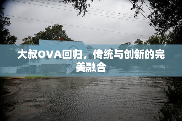 大叔OVA回归，传统与创新的完美融合