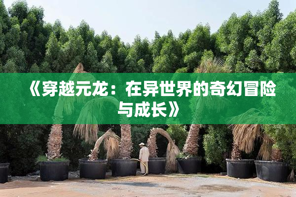 《穿越元龙：在异世界的奇幻冒险与成长》