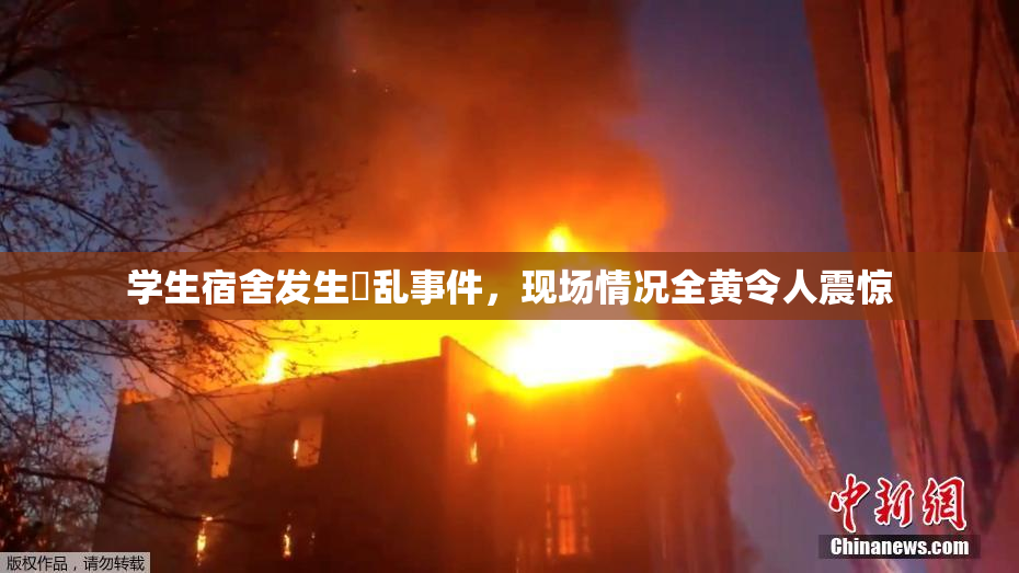 学生宿舍发生婬乱事件，现场情况全黄令人震惊