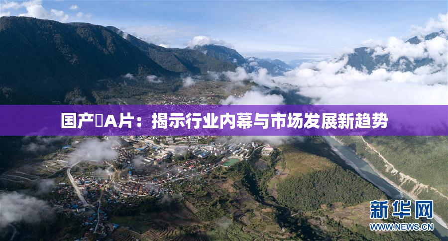 国产婬A片：揭示行业内幕与市场发展新趋势