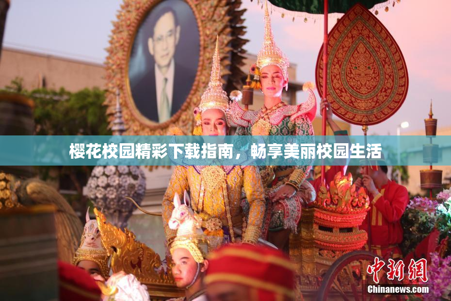 樱花校园精彩下载指南，畅享美丽校园生活