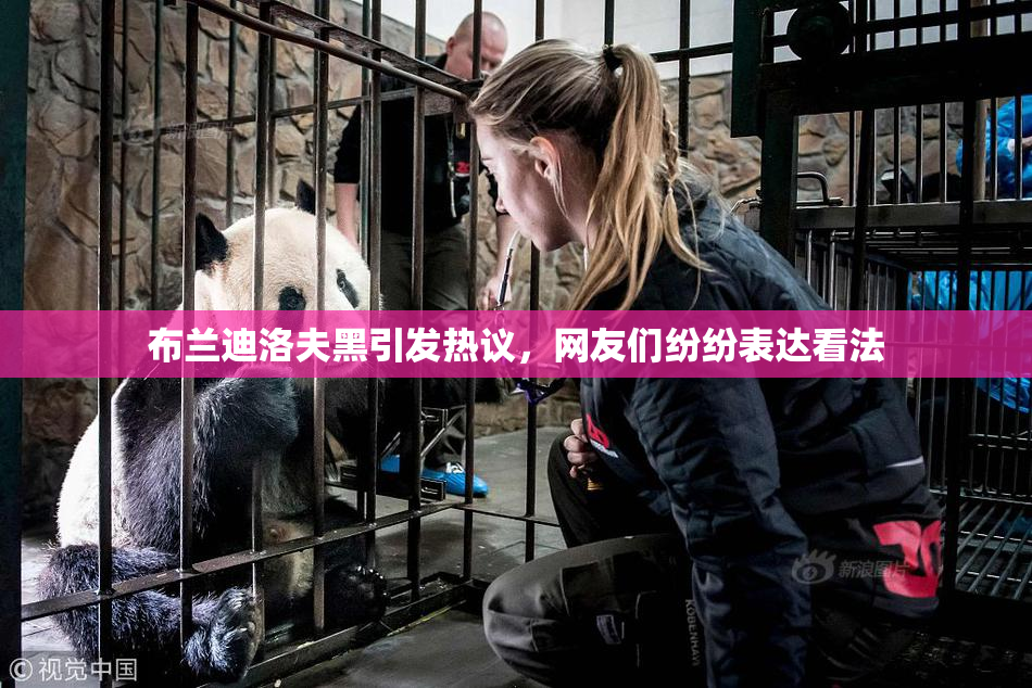 布兰迪洛夫黑引发热议，网友们纷纷表达看法