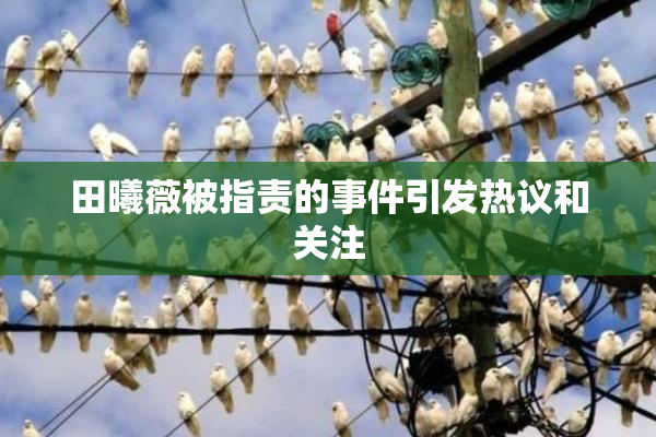 田曦薇被指责的事件引发热议和关注