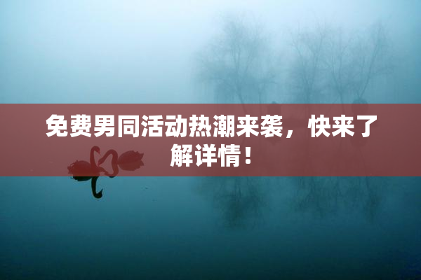 免费男同活动热潮来袭，快来了解详情！