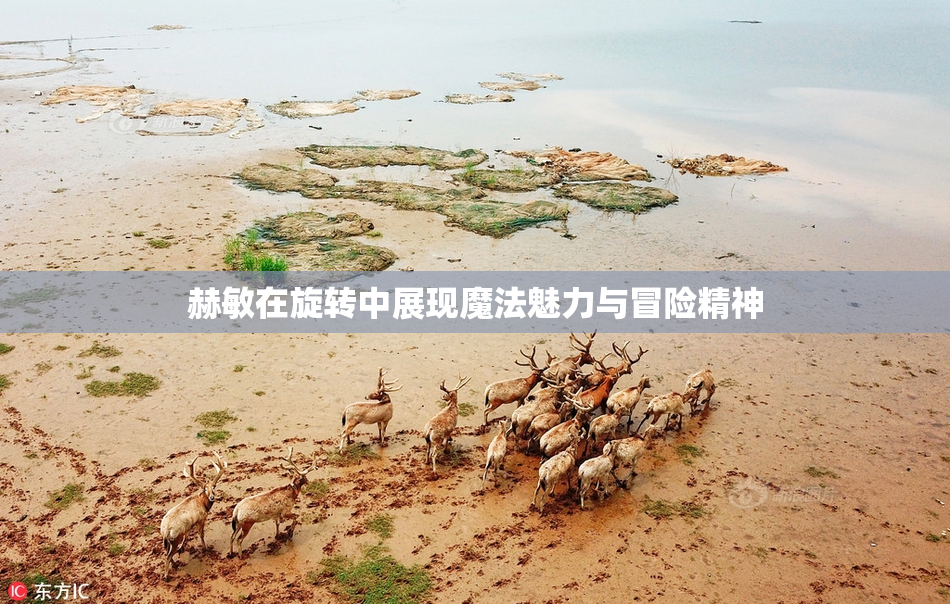 赫敏在旋转中展现魔法魅力与冒险精神
