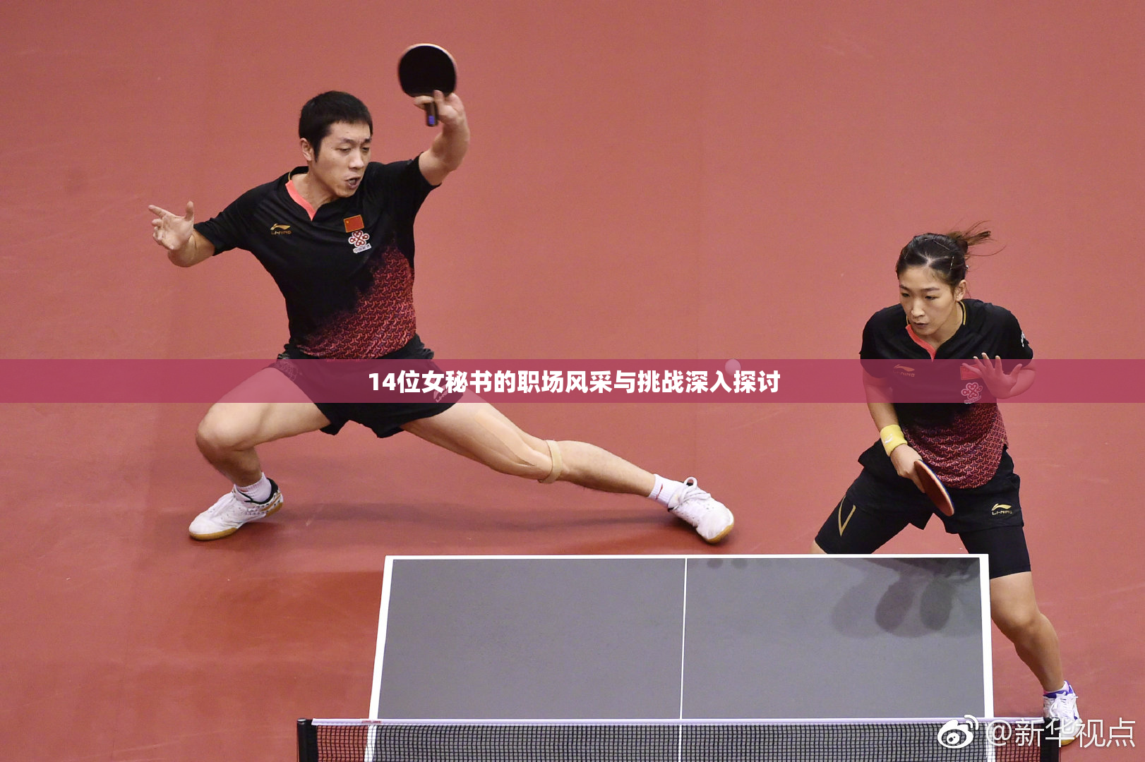 14位女秘书的职场风采与挑战深入探讨