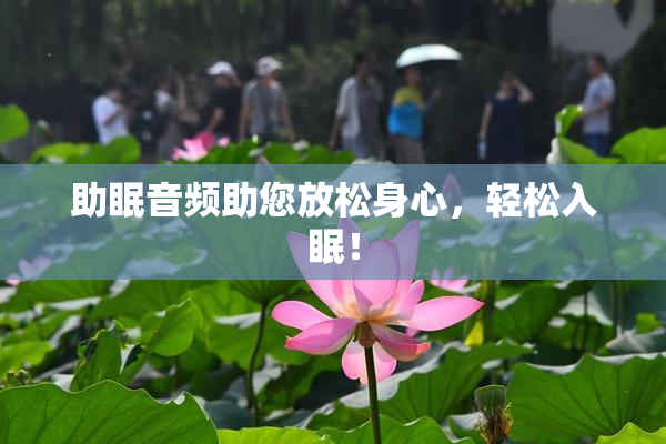 助眠音频助您放松身心，轻松入眠！