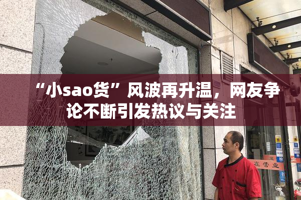 “小sao货”风波再升温，网友争论不断引发热议与关注