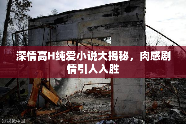 深情高H纯爱小说大揭秘，肉感剧情引人入胜