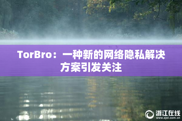 TorBro：一种新的网络隐私解决方案引发关注