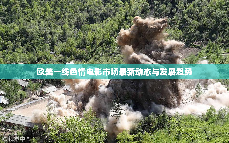 欧美一线色情电影市场最新动态与发展趋势