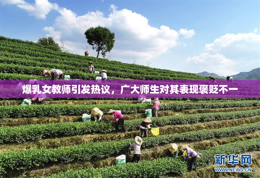 爆乳女教师引发热议，广大师生对其表现褒贬不一