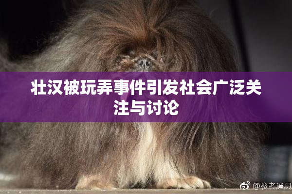 壮汉被玩弄事件引发社会广泛关注与讨论