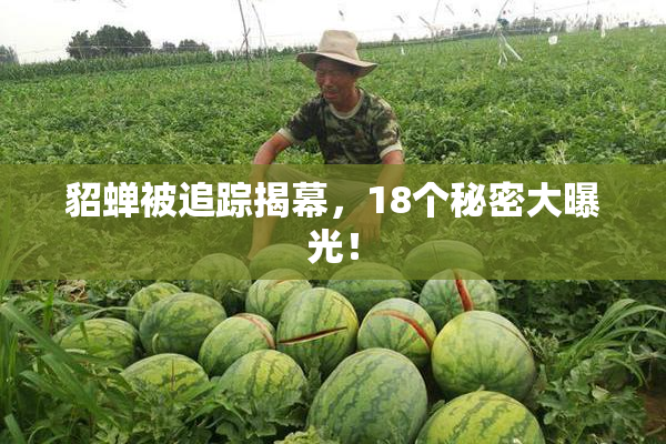 貂蝉被追踪揭幕，18个秘密大曝光！