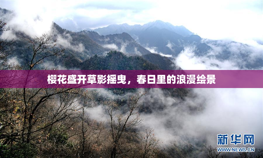 樱花盛开草影摇曳，春日里的浪漫绘景