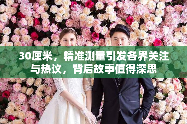 30厘米，精准测量引发各界关注与热议，背后故事值得深思