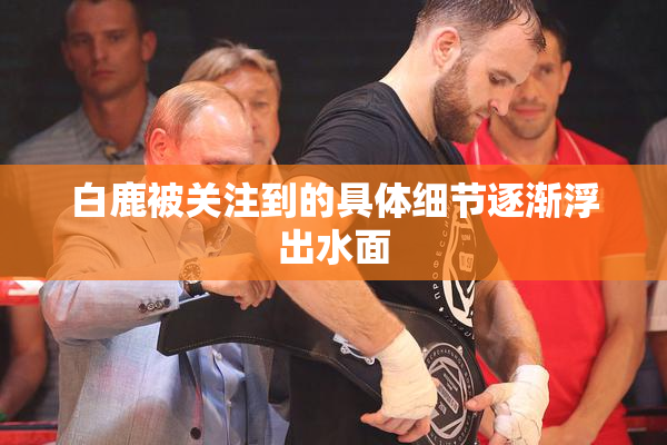 白鹿被关注到的具体细节逐渐浮出水面