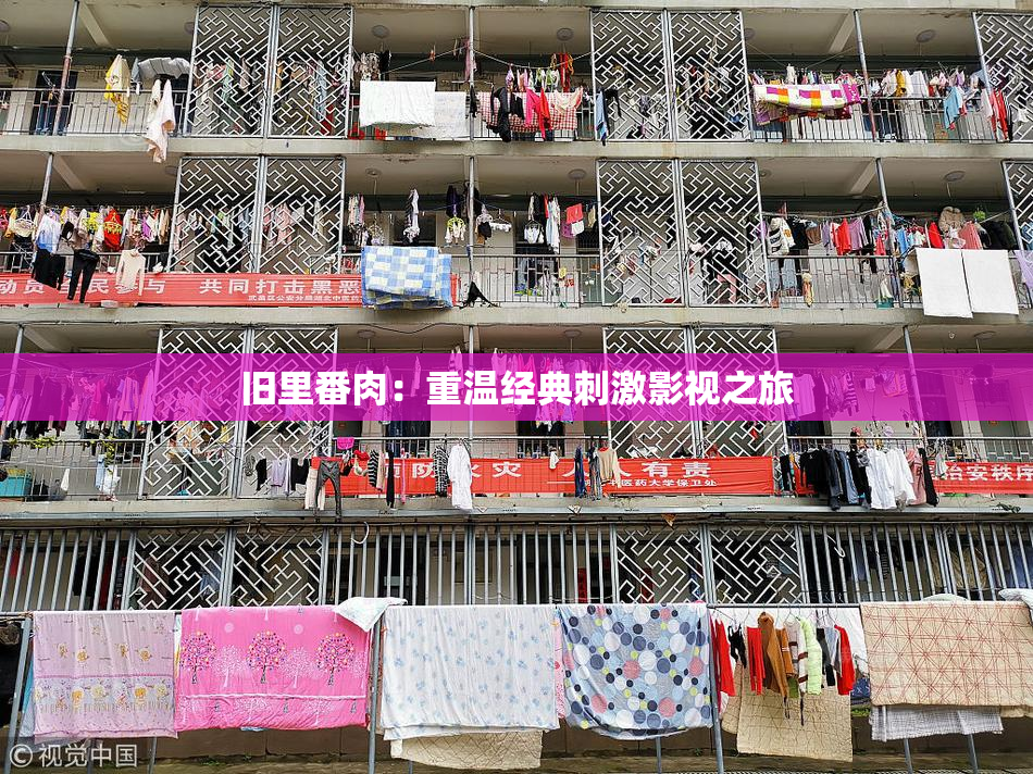 旧里番肉：重温经典刺激影视之旅