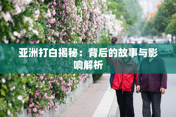 亚洲打白揭秘：背后的故事与影响解析