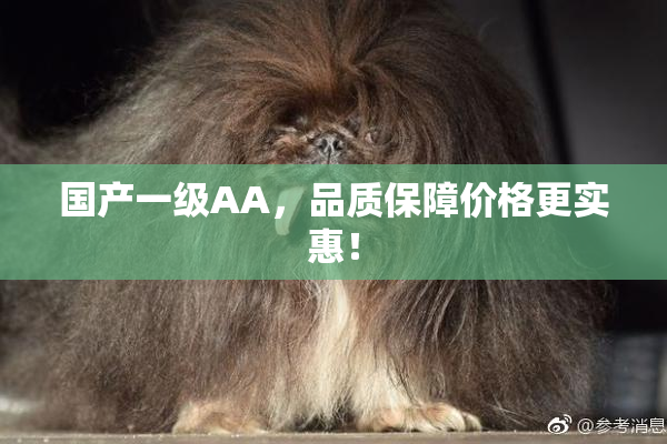 国产一级AA，品质保障价格更实惠！
