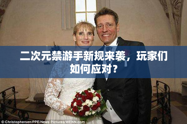 二次元禁游手新规来袭，玩家们如何应对？