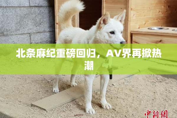 北条麻纪重磅回归，AV界再掀热潮