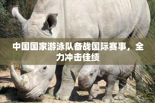 中国国家游泳队备战国际赛事，全力冲击佳绩