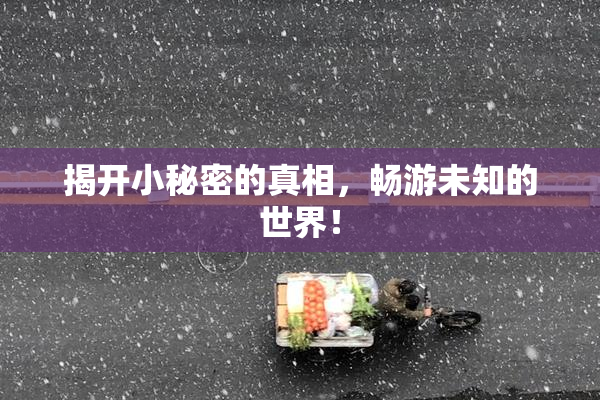 揭开小秘密的真相，畅游未知的世界！