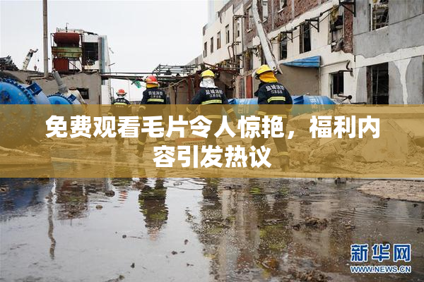 免费观看毛片令人惊艳，福利内容引发热议