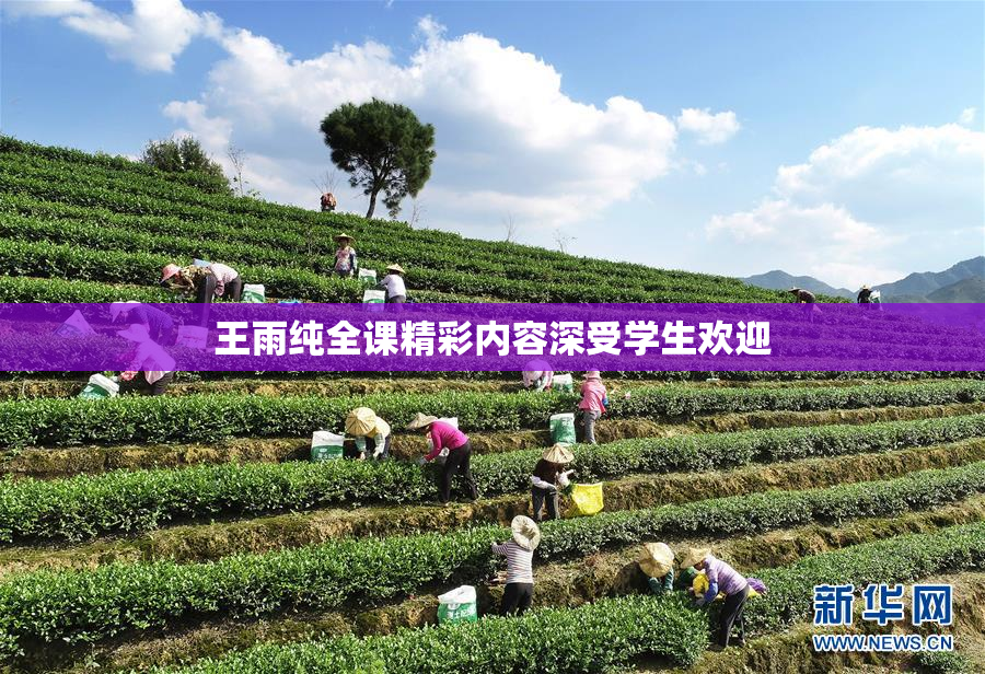 王雨纯全课精彩内容深受学生欢迎