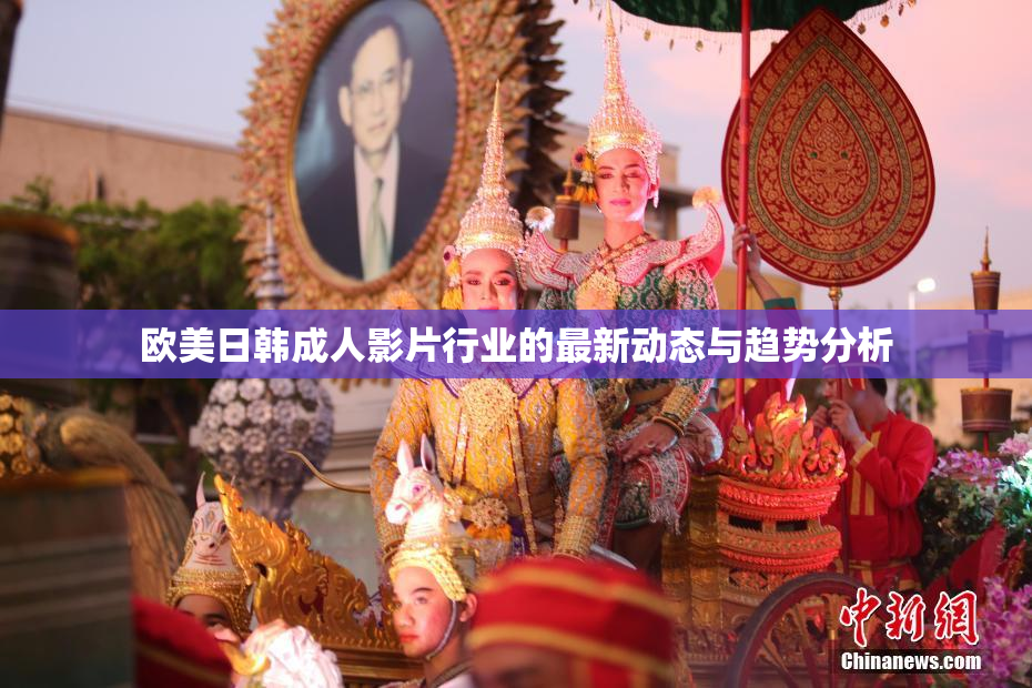 欧美日韩成人影片行业的最新动态与趋势分析
