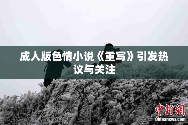 成人版色情小说《重写》引发热议与关注