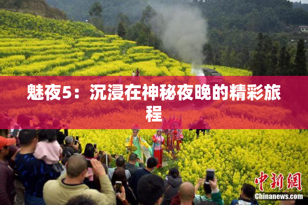 魅夜5：沉浸在神秘夜晚的精彩旅程