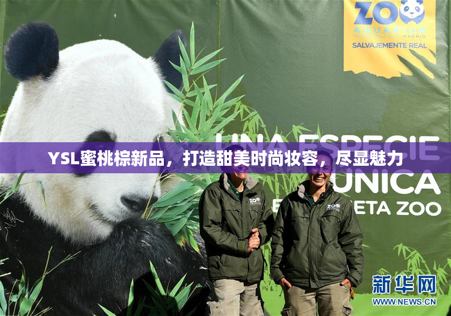 YSL蜜桃棕新品，打造甜美时尚妆容，尽显魅力