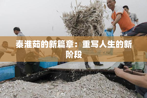 秦淮茹的新篇章：重写人生的新阶段