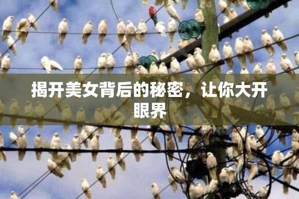 揭开美女背后的秘密，让你大开眼界