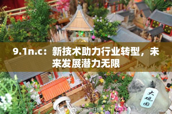 9.1n.c：新技术助力行业转型，未来发展潜力无限