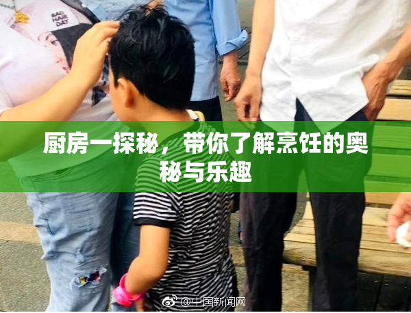 厨房一探秘，带你了解烹饪的奥秘与乐趣