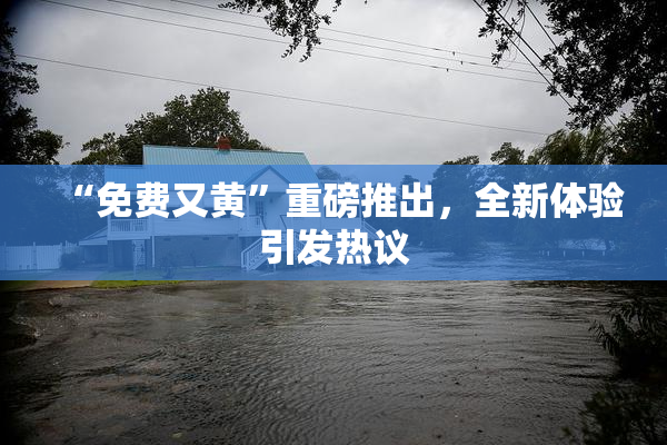 “免费又黄”重磅推出，全新体验引发热议