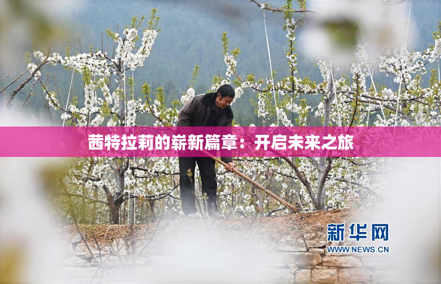 茜特拉莉的崭新篇章：开启未来之旅