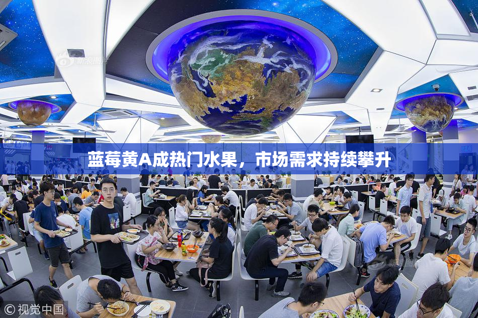 蓝莓黄A成热门水果，市场需求持续攀升