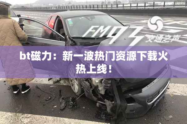 bt磁力：新一波热门资源下载火热上线！