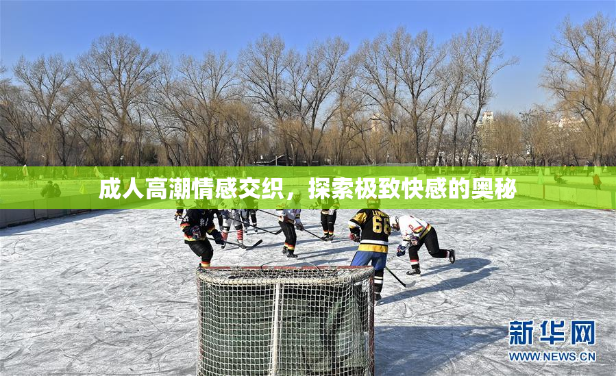 成人高潮情感交织，探索极致快感的奥秘
