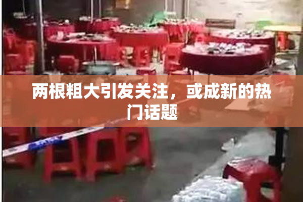 两根粗大引发关注，或成新的热门话题
