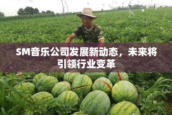 SM音乐公司发展新动态，未来将引领行业变革