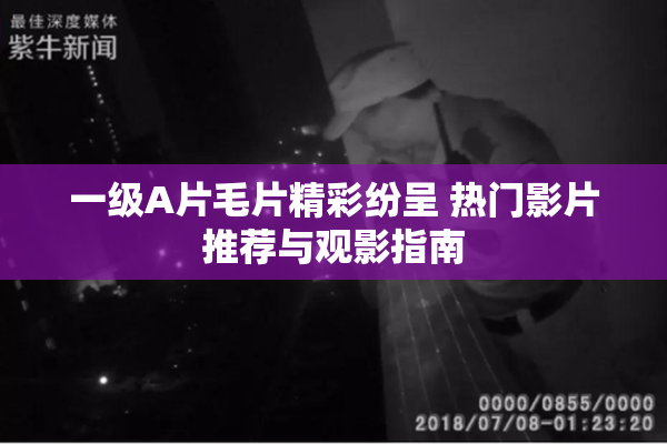 一级A片毛片精彩纷呈 热门影片推荐与观影指南
